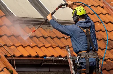 Démoussage et hydrofuge de toiture à Palaminy